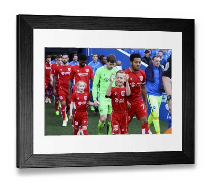 Framed Print : Championship Showdown: Battle for Promotion - Brighton & Hove Albion vs. Bristol City at Amex Stadium (April 2017) Framed Print : Championship Showdown: Battle for Promotion - Brighton & Hove Albion vs. Bristol City at Amex Stadium (April 2017)