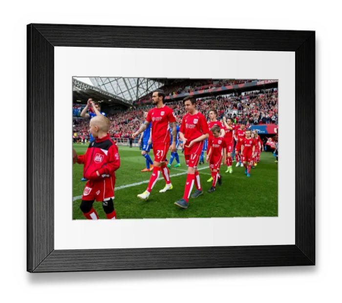Framed Print : Mascots Leading Out Bristol City and Birmingham City Teams at Ashton Gate Stadium, Sky Bet Championship (2017) Framed Print : Mascots Leading Out Bristol City and Birmingham City Teams at Ashton Gate Stadium, Sky Bet Championship (2017)