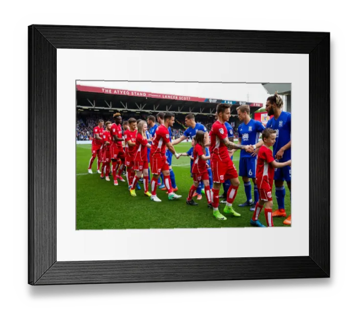 Framed Print : Mascots Uniting Before the Championship Showdown: Bristol City vs. Birmingham City (2017) Framed Print : Mascots Uniting Before the Championship Showdown: Bristol City vs. Birmingham City (2017)
