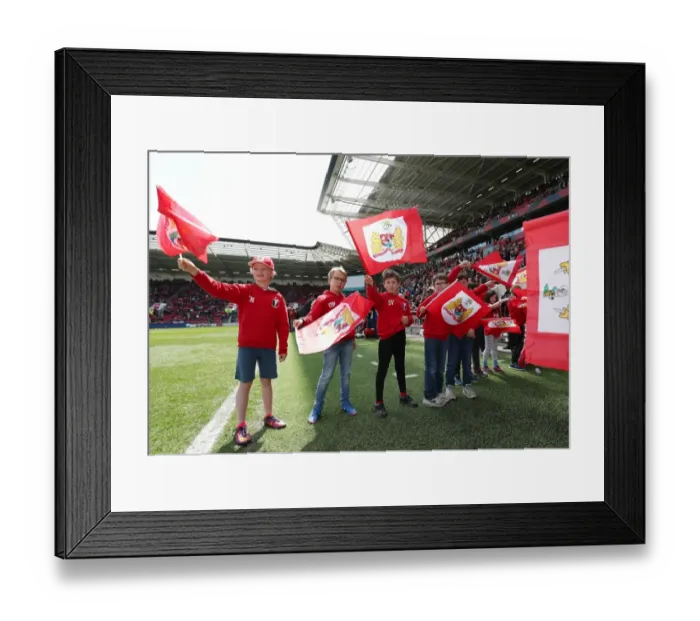 Framed Print : Flag-Bearing Moment: Bristol City vs Birmingham City, Sky Bet Championship (May 7, 2017) Framed Print : Flag-Bearing Moment: Bristol City vs Birmingham City, Sky Bet Championship (May 7, 2017)
