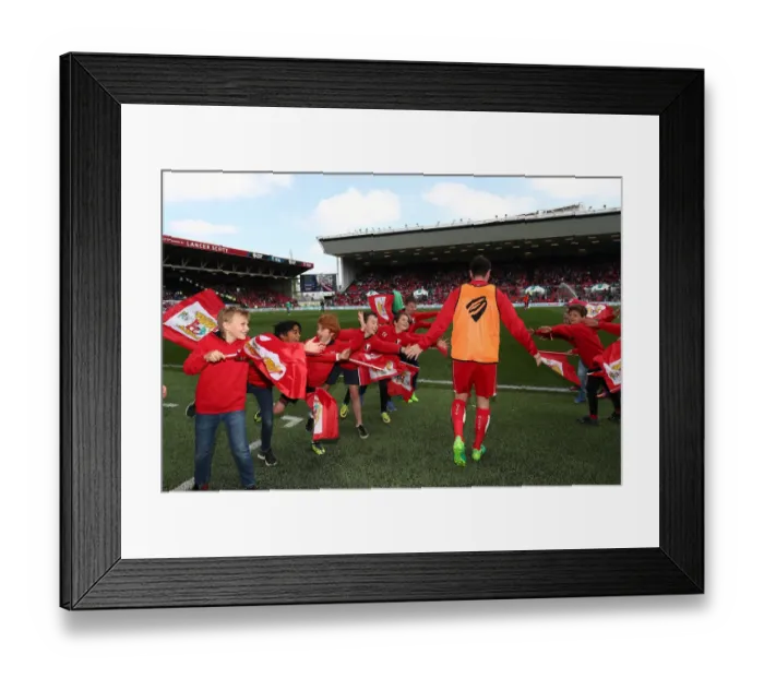 Framed Print : Bristol City Flag-Bearers at Ashton Gate - Sky Bet Championship Match vs Birmingham City (07.05.2017)