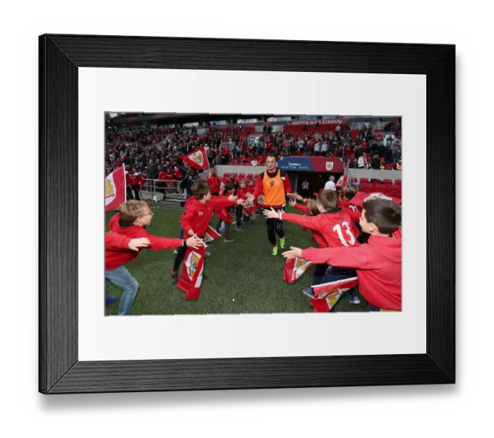 Framed Print : Bristol City Flag-Bearing Supporters at Ashton Gate: Sky Bet Championship Match vs Birmingham City (07.05.2017) Framed Print : Bristol City Flag-Bearing Supporters at Ashton Gate: Sky Bet Championship Match vs Birmingham City (07.05.2017)