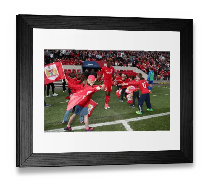 Framed Print : Bristol City Flag-Bearers Celebrate Championship Pride (May 2017) Framed Print : Bristol City Flag-Bearers Celebrate Championship Pride (May 2017)