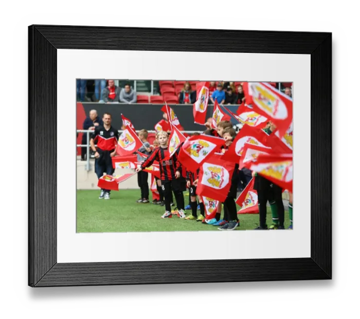 Framed Print : Bristol City vs Birmingham City: Flagbearers Clash in Sky Bet Championship (May 7, 2017) - Ashton Gate Framed Print : Bristol City vs Birmingham City: Flagbearers Clash in Sky Bet Championship (May 7, 2017) - Ashton Gate