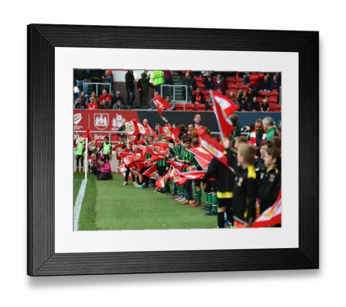 Framed Print : Bristol City vs Birmingham City Clash: Sky Bet Championship Showdown at Ashton Gate - May 7, 2017 Framed Print : Bristol City vs Birmingham City Clash: Sky Bet Championship Showdown at Ashton Gate - May 7, 2017