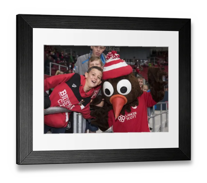 Framed Print : Intense Championship Showdown: Bristol City vs. Birmingham City at Ashton Gate (07 / 05 / 2017) Framed Print : Intense Championship Showdown: Bristol City vs. Birmingham City at Ashton Gate (07 / 05 / 2017)