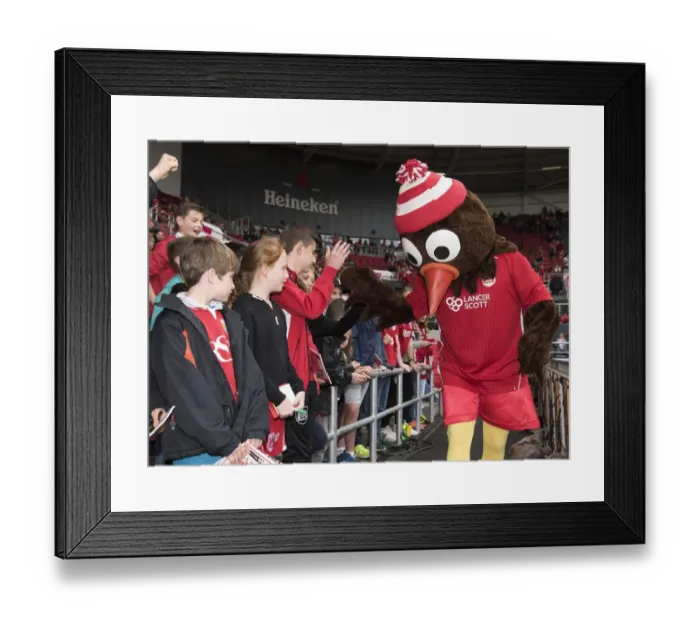 Framed Print : Sky Bet Championship Showdown: Thrilling Match Between Bristol City and Birmingham City at Ashton Gate