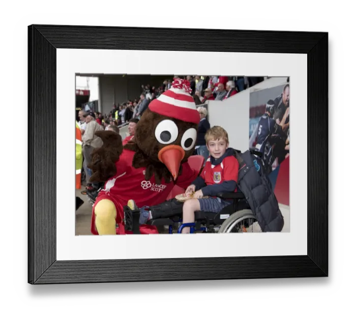 Framed Print : Bristol City vs Birmingham City Clash in Sky Bet Championship (May 2017) Framed Print : Bristol City vs Birmingham City Clash in Sky Bet Championship (May 2017)