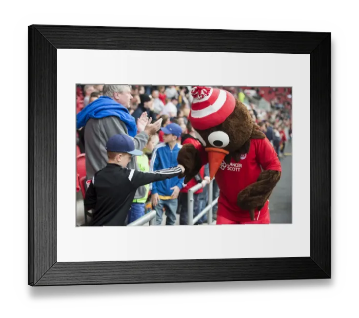 Framed Print : Intense Showdown: Sky Bet Championship Battle – Bristol City vs. Birmingham City (07.05.2017) Framed Print : Intense Showdown: Sky Bet Championship Battle – Bristol City vs. Birmingham City (07.05.2017)