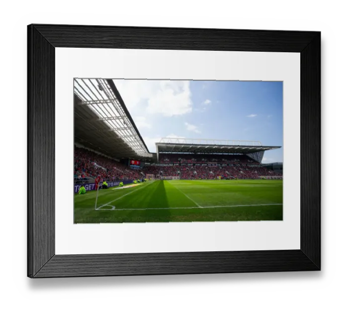 Framed Print : Sky Bet Championship Showdown: Bristol City vs Birmingham City at Ashton Gate Stadium Framed Print : Sky Bet Championship Showdown: Bristol City vs Birmingham City at Ashton Gate Stadium