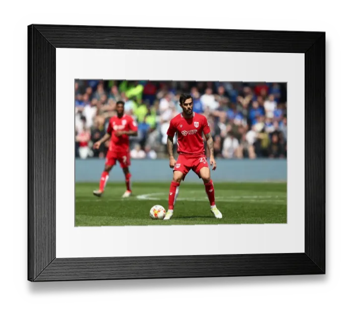 Framed Print : Marlon Pack in Action: Sky Bet Championship Showdown at Ashton Gate - Bristol City vs. Birmingham City (May 2017) Framed Print : Marlon Pack in Action: Sky Bet Championship Showdown at Ashton Gate - Bristol City vs. Birmingham City (May 2017)