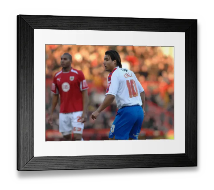 Framed Print : Bristol City vs. Crystal Palace: A Football Rivalry - Season 08-09 Framed Print : Bristol City vs. Crystal Palace: A Football Rivalry - Season 08-09