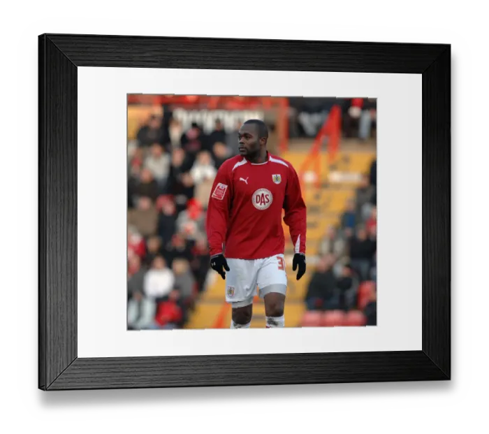 Framed Print : Bristol City V Crystal Palace Framed Print : Bristol City V Crystal Palace