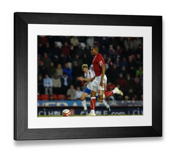 Framed Print : Bristol City First Team: Season 08-09: Bristol City V Crystal Palace Framed Print : Bristol City First Team: Season 08-09: Bristol City V Crystal Palace
