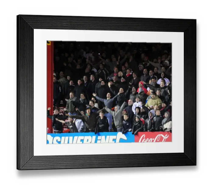 Framed Print : Bristol City vs. Wolverhampton Wanderers: A Season 08-09 Showdown Framed Print : Bristol City vs. Wolverhampton Wanderers: A Season 08-09 Showdown