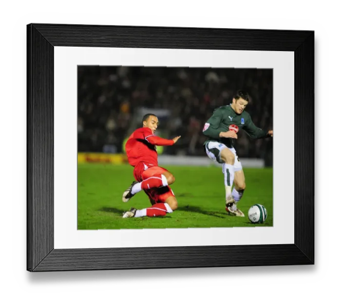 Framed Print : Football Rivalry: Clash of Forces - Bristol City vs Plymouth Argyle (Season 08-09) Framed Print : Football Rivalry: Clash of Forces - Bristol City vs Plymouth Argyle (Season 08-09)