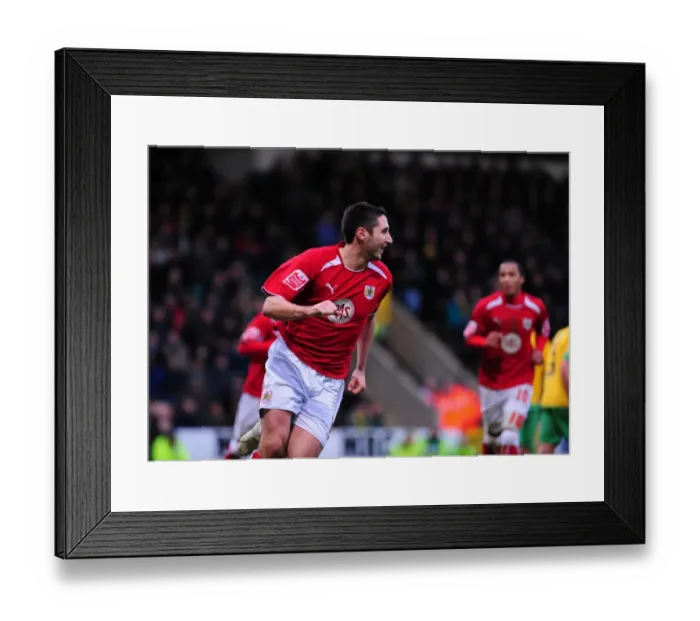 Framed Print : The Clash of the Birds: Norwich City vs. Bristol City - A Football Rivalry (08-09 Season)