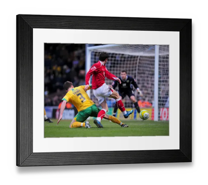 Framed Print : The Clash of the Birds: Norwich City vs. Bristol City (Season 08-09)