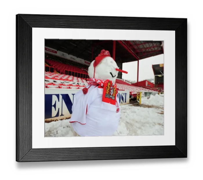 Framed Print : Bristol City FC at Ashton Gate Stadium