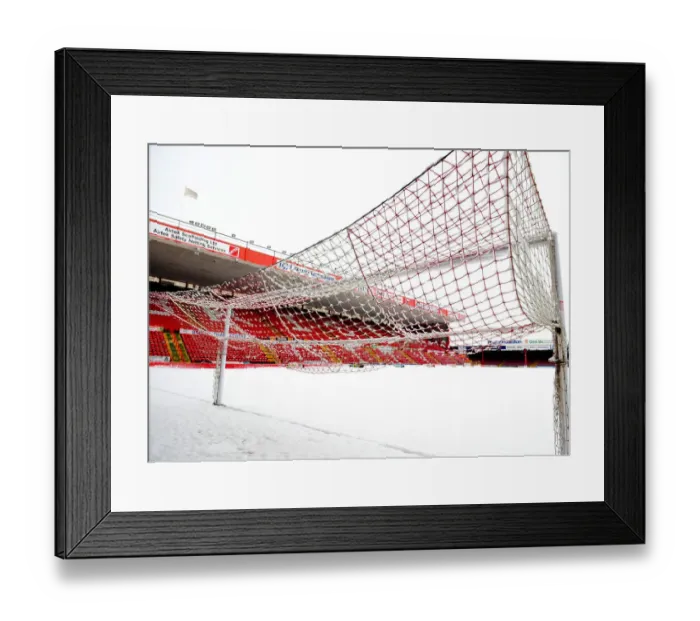 Framed Print : Ashton Gate: The Home of Bristol City Football Club Framed Print : Ashton Gate: The Home of Bristol City Football Club