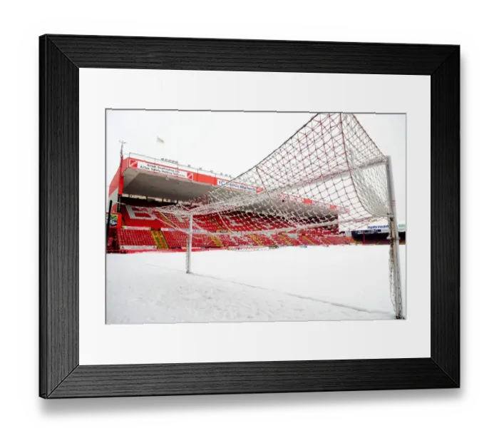 Framed Print : Ashton Gate: The Home of Bristol City Football Club Framed Print : Ashton Gate: The Home of Bristol City Football Club