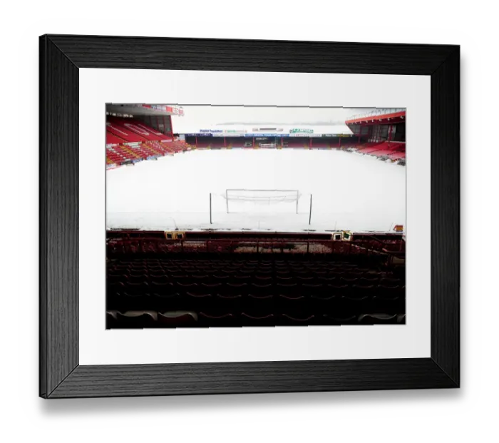 Framed Print : The Roar of Pride and Passion: A Glance into the Heart of Bristol City Football Club at Ashton Gate