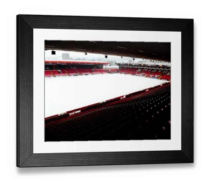 Framed Print : Bristol City at Ashton Gate Stadium