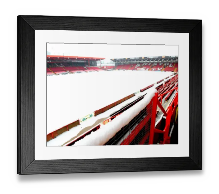 Framed Print : Bristol City FC at Ashton Gate Stadium Framed Print : Bristol City FC at Ashton Gate Stadium