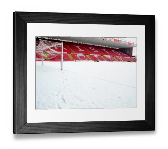 Framed Print : Bristol City FC: Ashton Gate Stadium