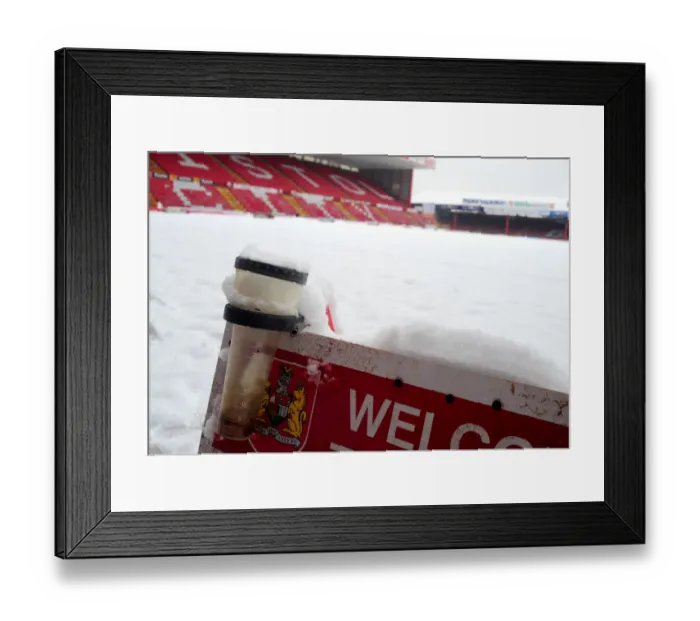 Framed Print : Ashton Gate: The Home of Bristol City Football Club Framed Print : Ashton Gate: The Home of Bristol City Football Club