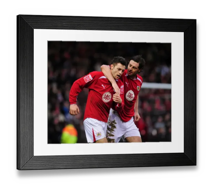 Framed Print : Bristol City vs Southampton: 08-09 Season Clash