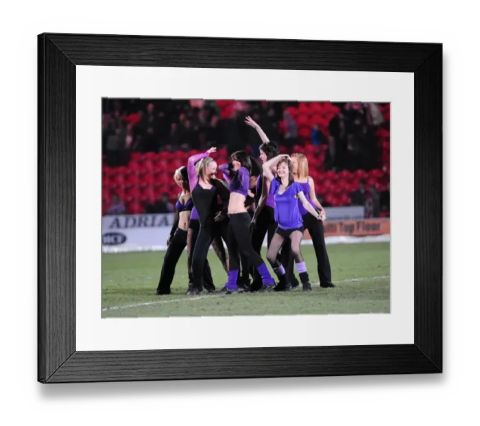 Framed Print : Bristol City First Team: Season 08-09: Doncaster Rovers V Bristol City