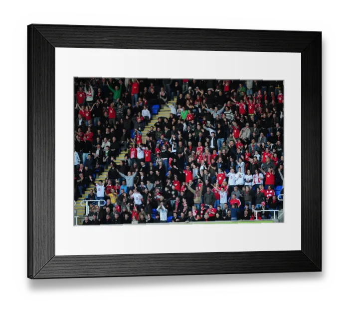 Framed Print : Bristol City vs. Reading: A Football Rivalry - Season 08-09 Framed Print : Bristol City vs. Reading: A Football Rivalry - Season 08-09