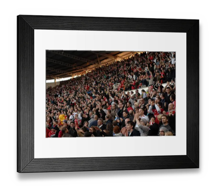 Framed Print : Bristol City First Team: Season 08-09: Reading V Bristol City Framed Print : Bristol City First Team: Season 08-09: Reading V Bristol City