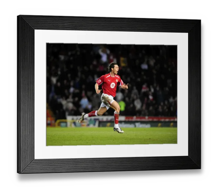Framed Print : Bristol City vs Coventry City: 08-09 Season
