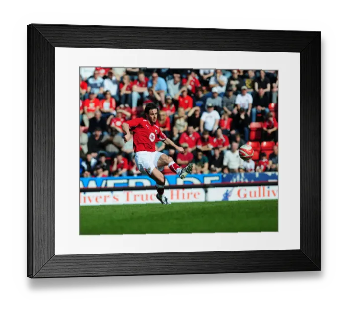 Framed Print : Bristol City First Team: Season 08-09: Bristol City V Cardiff City