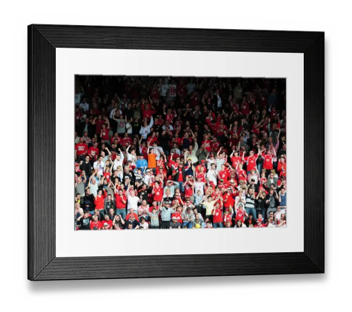 Framed Print : Dolman Bounce Around Framed Print : Dolman Bounce Around