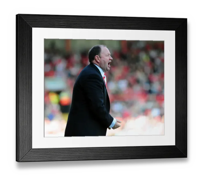 Framed Print : Bristol City First Team: Season 08-09: Bristol City V Ipswich Town Framed Print : Bristol City First Team: Season 08-09: Bristol City V Ipswich Town