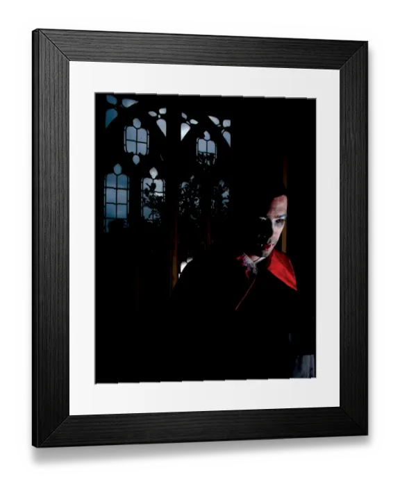 Framed Print : Bristol City FC: Portraits 08-09 - Liam Fontaine Framed Print : Bristol City FC: Portraits 08-09 - Liam Fontaine