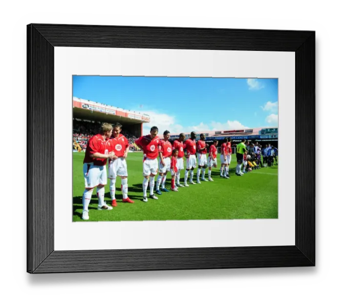Framed Print : Bristol City vs Sheffield Wednesday: Season 08-09