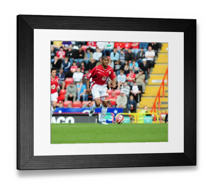 Framed Print : Bristol City vs Sheffield Wednesday: A Football Rivalry from the 08-09 Season Framed Print : Bristol City vs Sheffield Wednesday: A Football Rivalry from the 08-09 Season