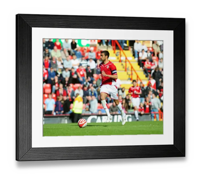 Framed Print : Bristol City vs Sheffield Wednesday: A Football Rivalry from the 08-09 Season Framed Print : Bristol City vs Sheffield Wednesday: A Football Rivalry from the 08-09 Season