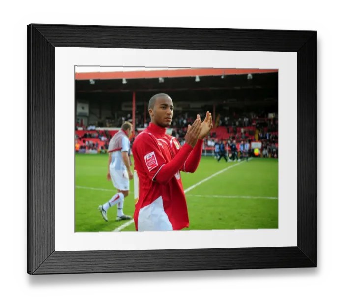 Framed Print : Bristol City vs Sheffield Wednesday: A Football Rivalry from the 08-09 Season Framed Print : Bristol City vs Sheffield Wednesday: A Football Rivalry from the 08-09 Season
