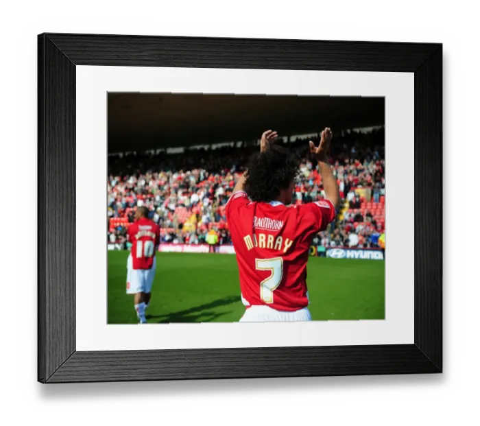 Framed Print : Clash of the Championship Titans: Bristol City vs Sheffield Wednesday (08-09) Framed Print : Clash of the Championship Titans: Bristol City vs Sheffield Wednesday (08-09)