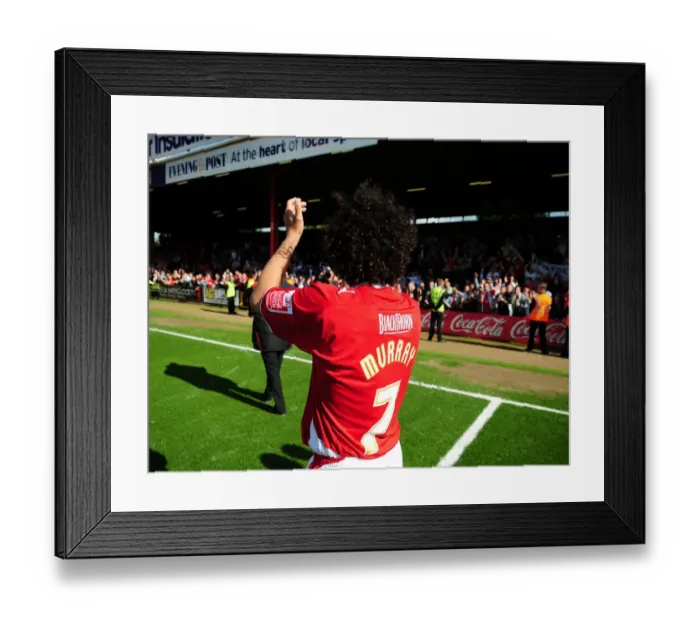 Framed Print : Bristol City vs Sheffield Wednesday: A Football Rivalry from the 08-09 Season