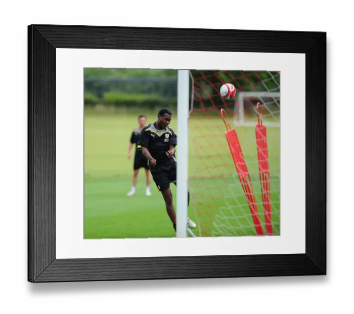 Framed Print : Bristol City First Team: Gearing Up for the 09-10 Season - Pre-Season Training