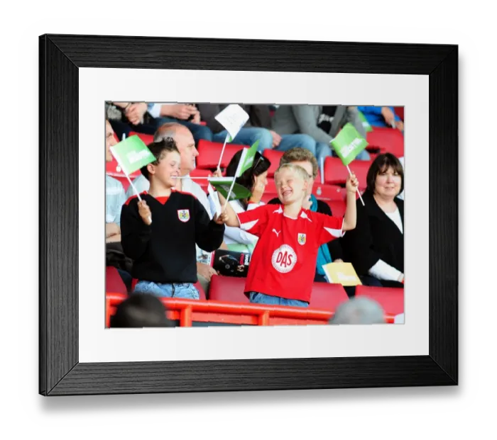 Framed Print : Fans Framed Print : Fans