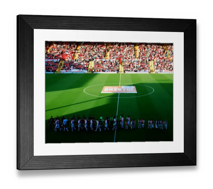 Framed Print : Bristol City vs Ajax: 09-10 Pre-Season Friendly (First Team)