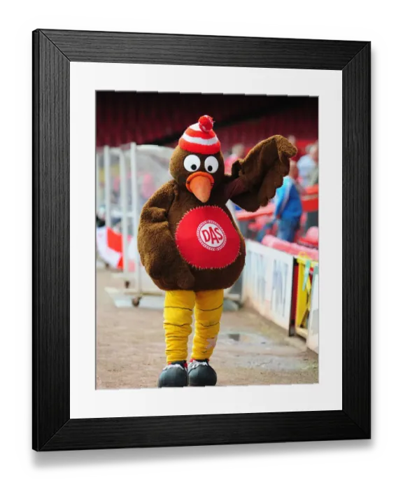 Framed Print : Bristol City FC: 09-10 Open Day - Exclusive First Team Access Framed Print : Bristol City FC: 09-10 Open Day - Exclusive First Team Access