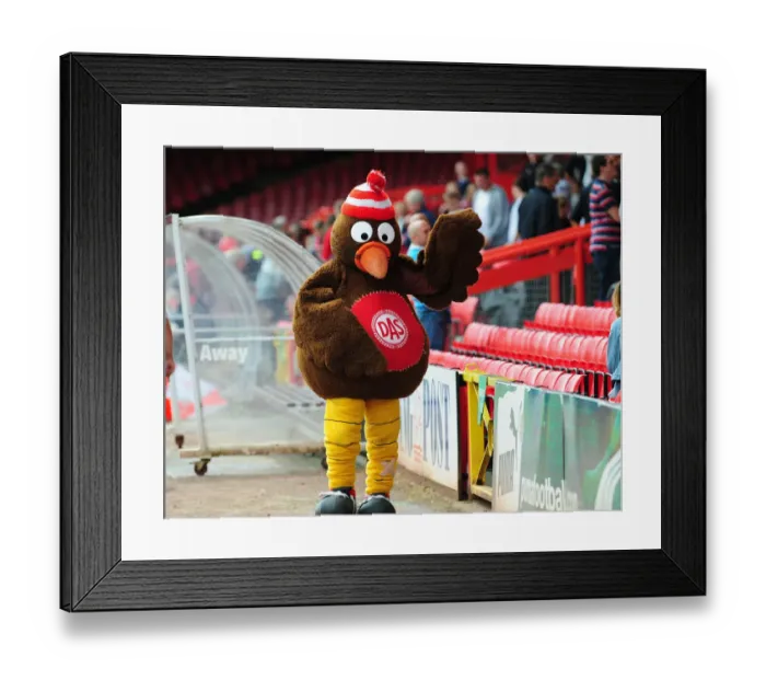 Framed Print : Bristol City FC First Team Open Day: A Glimpse into the 09-10 Season Framed Print : Bristol City FC First Team Open Day: A Glimpse into the 09-10 Season